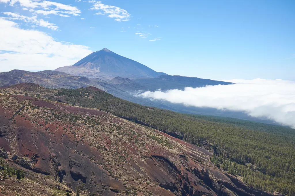 Las Canarias — landscape and travel photograph in Canary Islands, Spain, frame 3 of 28.